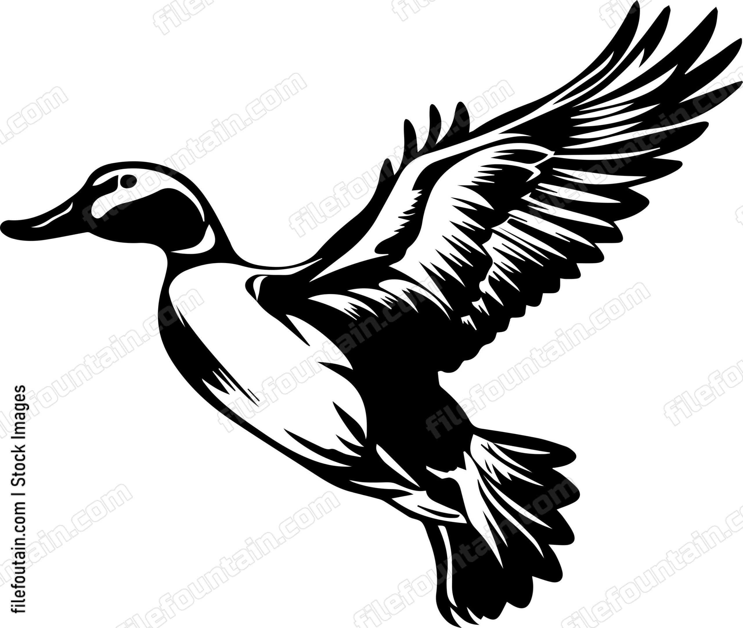 Flying Duck View