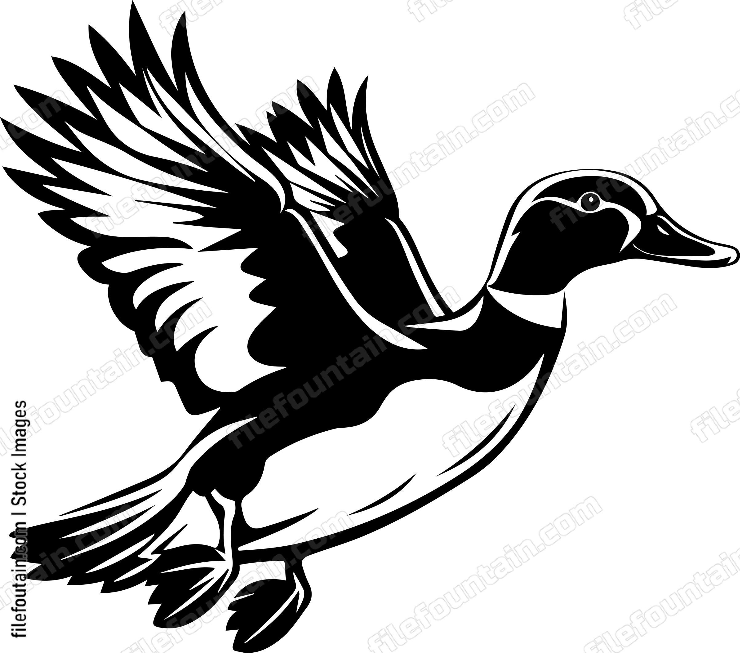 Flying Duck View