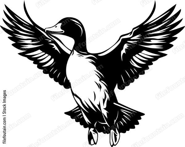 Flying Duck View