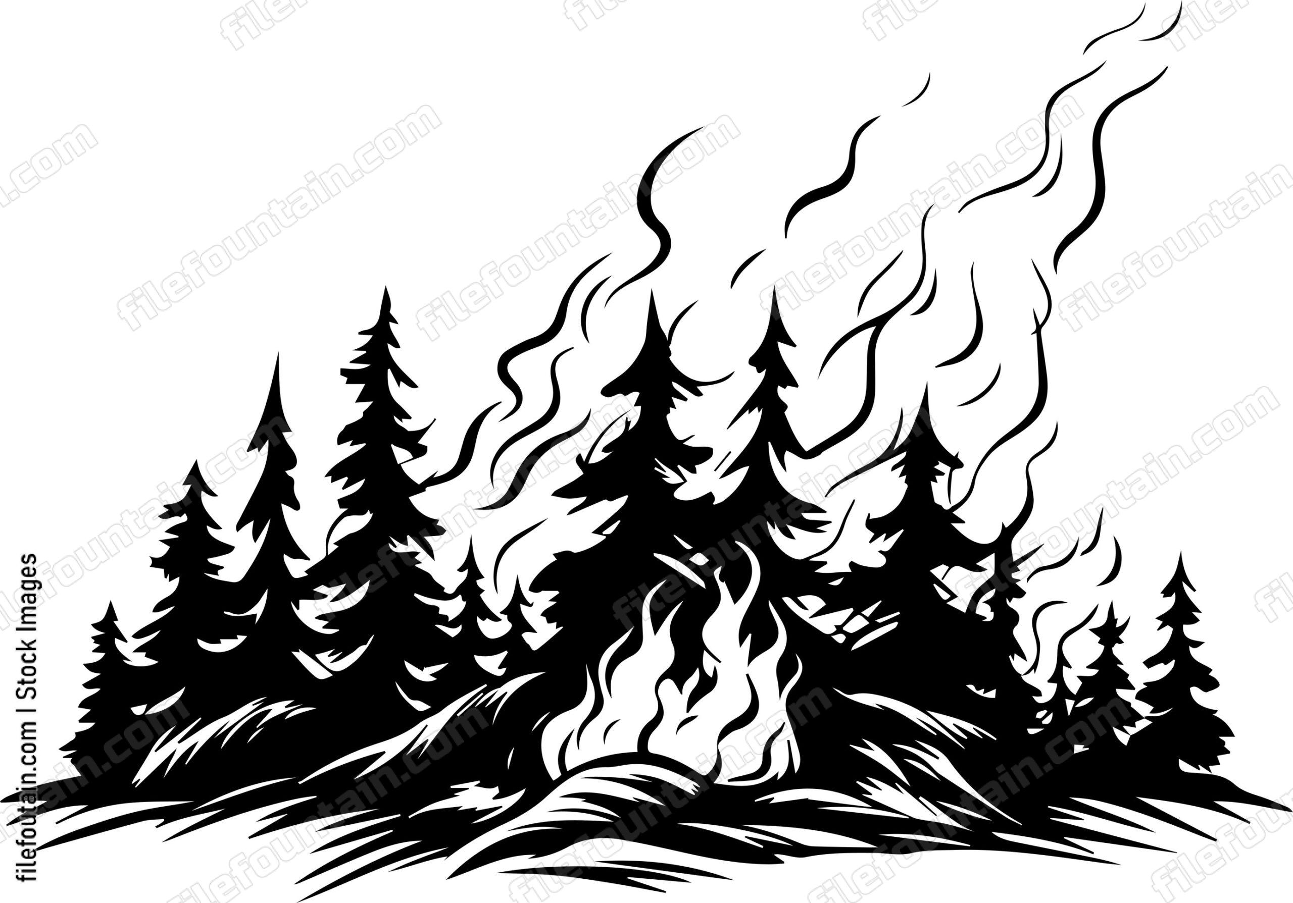 Forest Fire