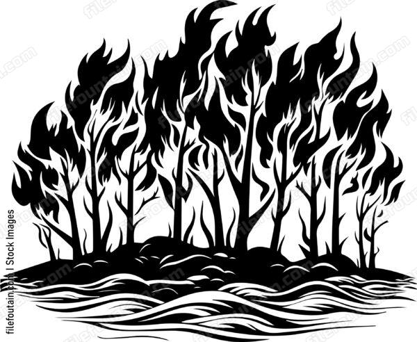 Forest Fire