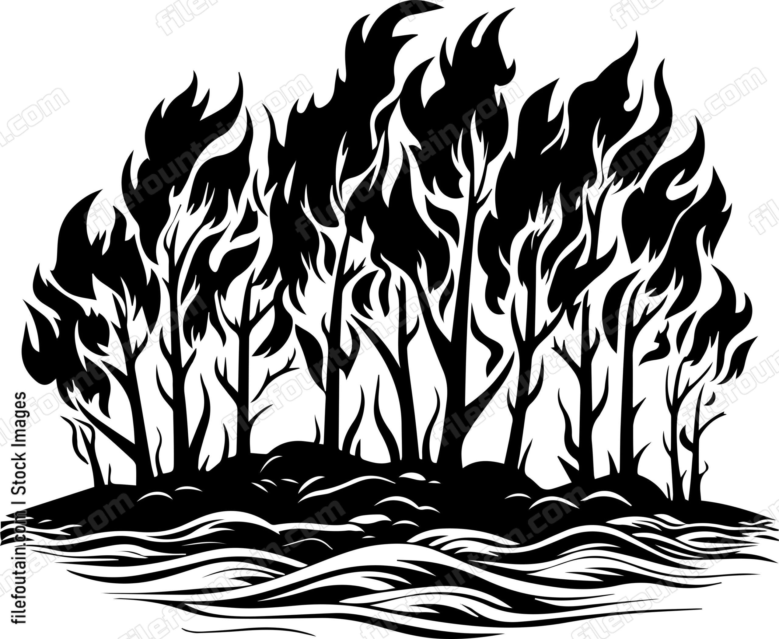Forest Fire