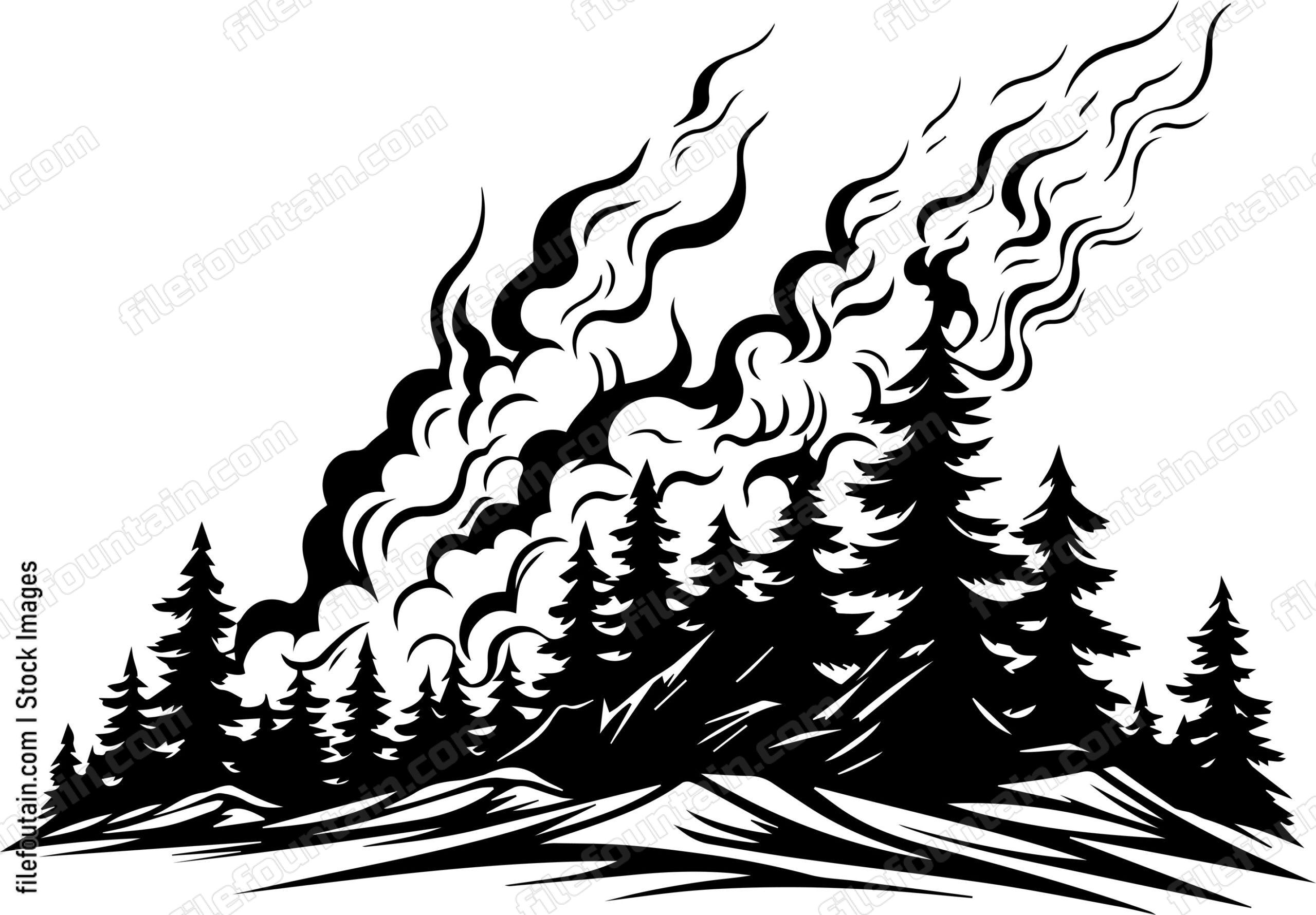 Forest Fire