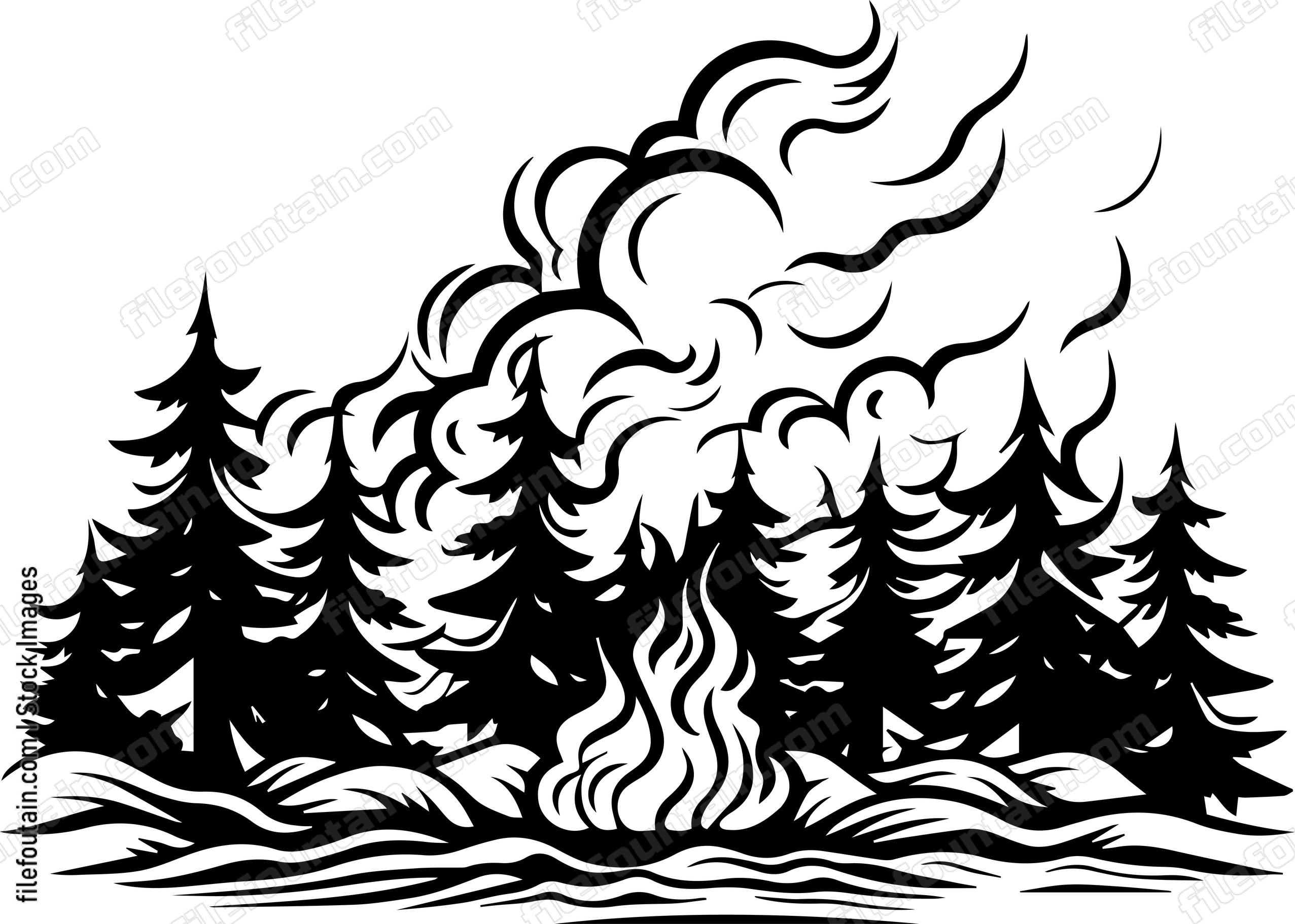 Forest Fire
