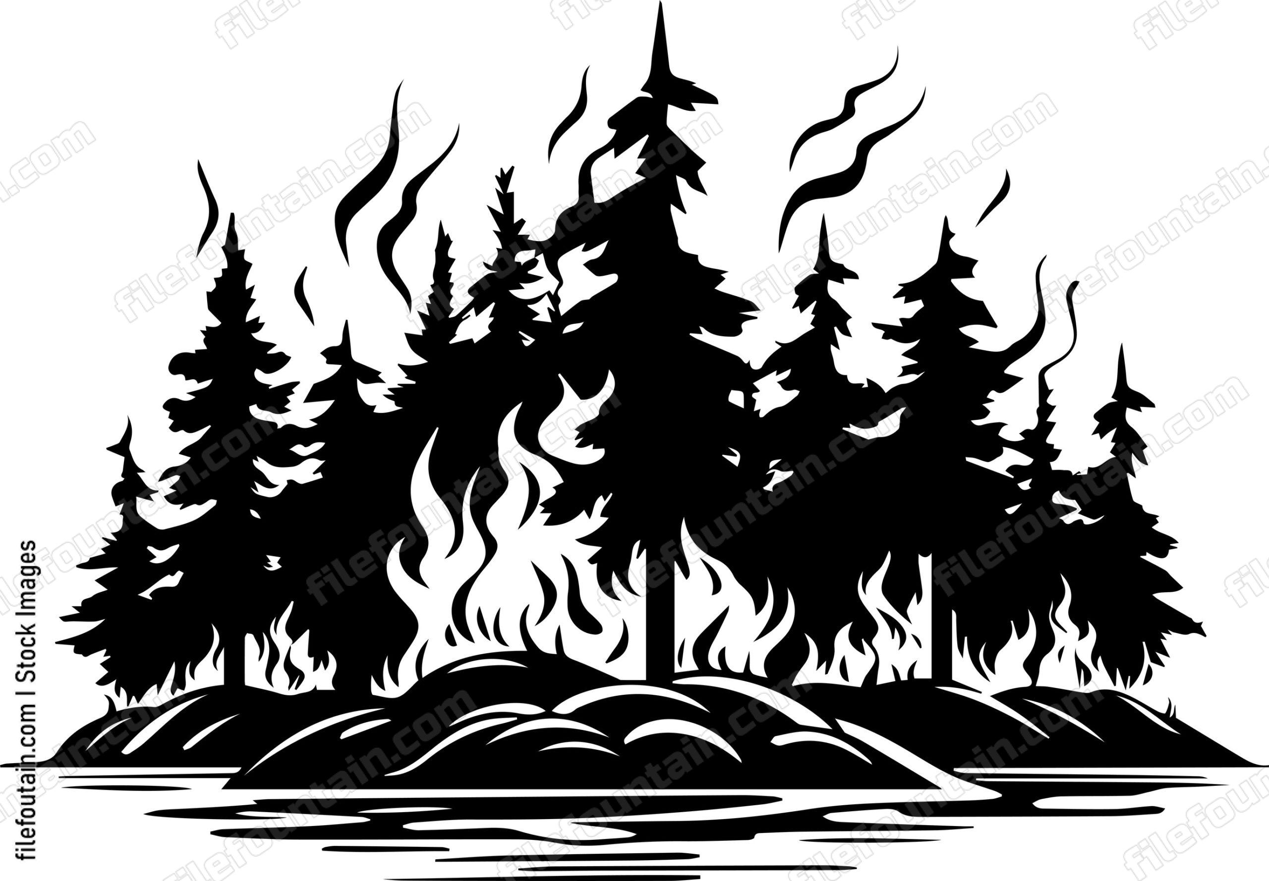 Forest Fire