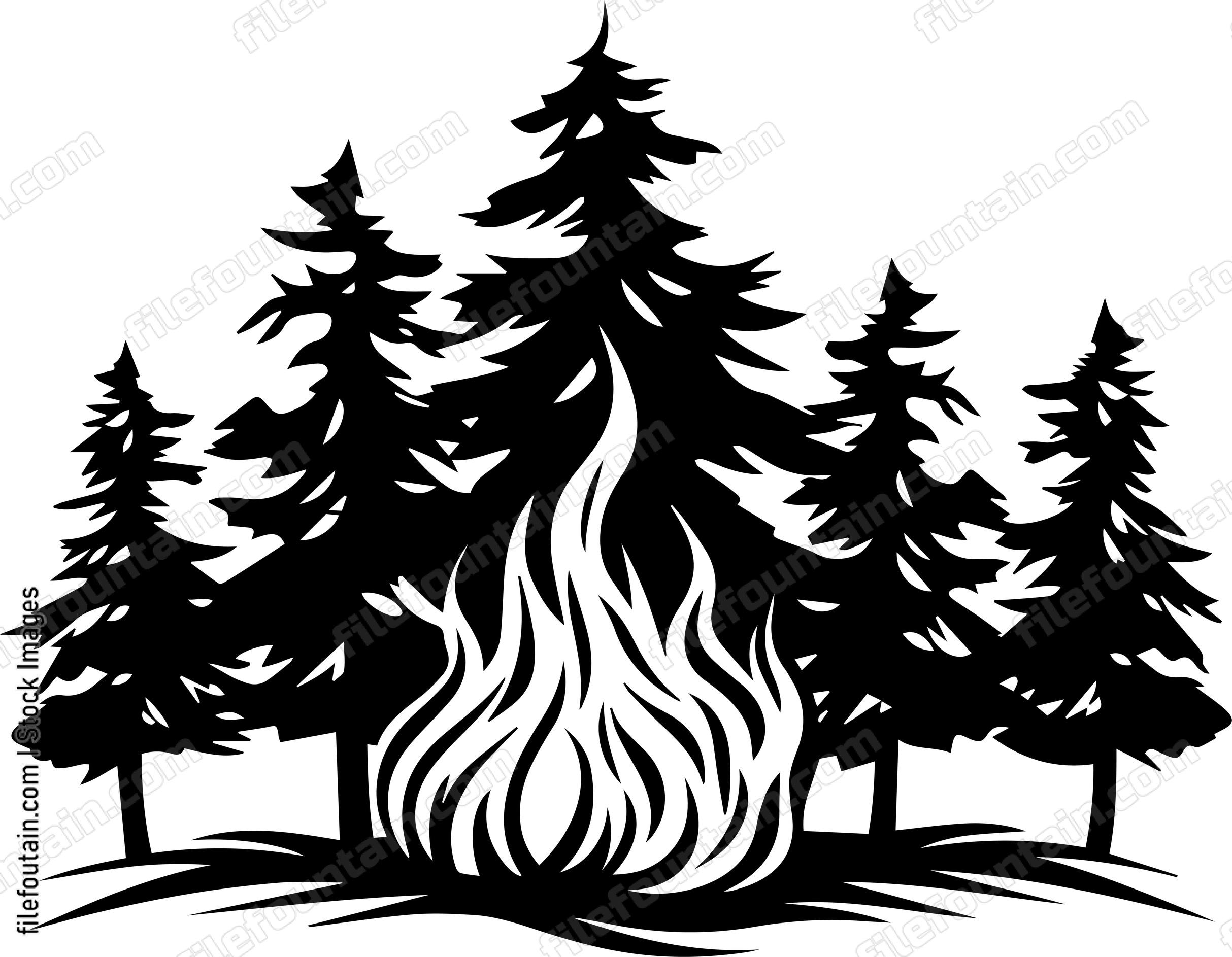Forest Fire