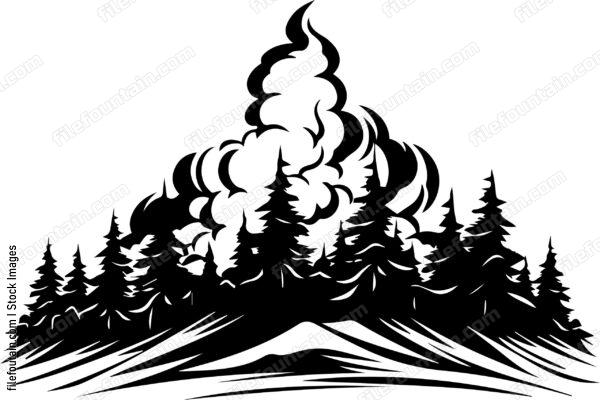 Forest Fire
