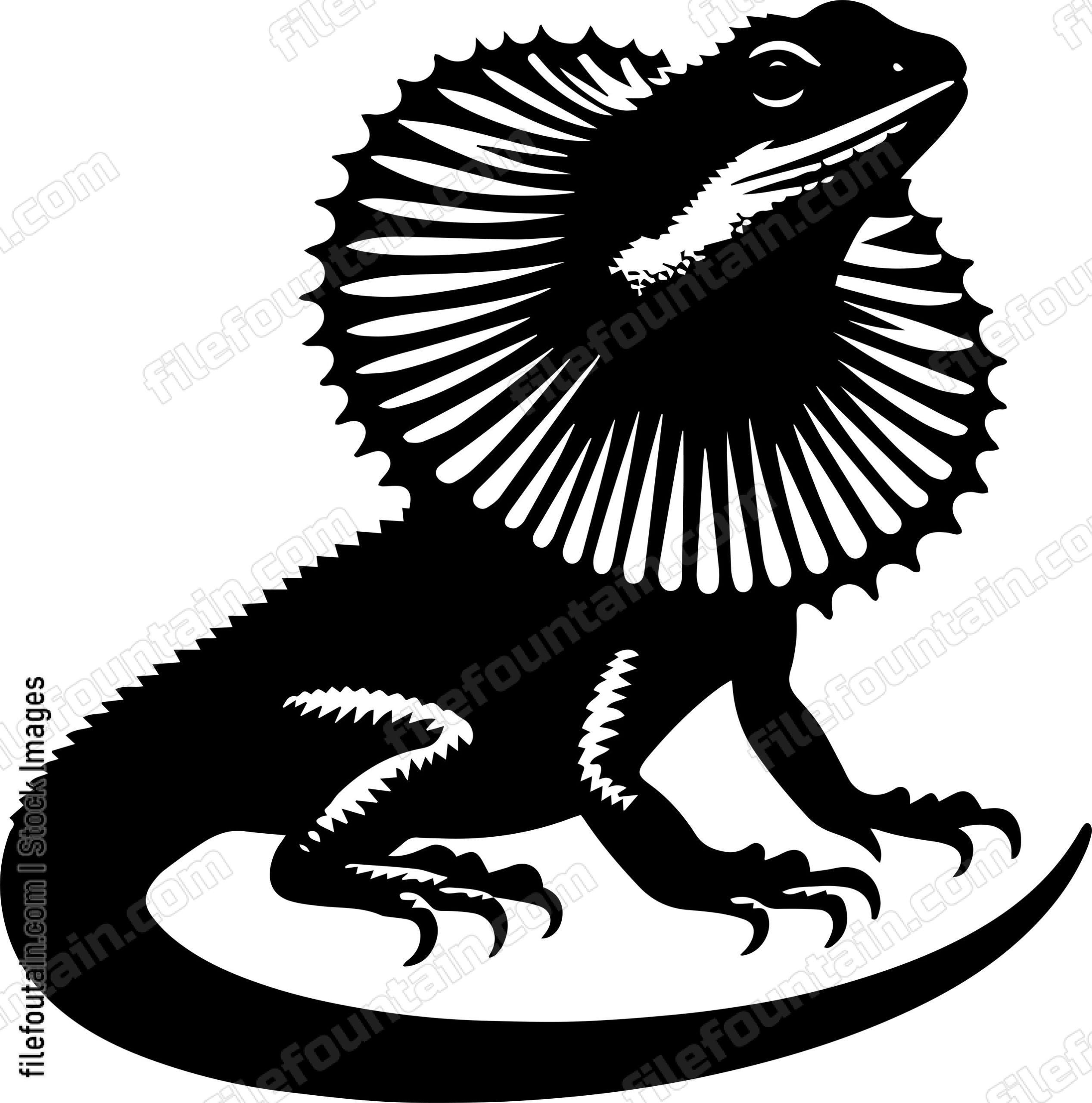 Frilled Neck Lizard