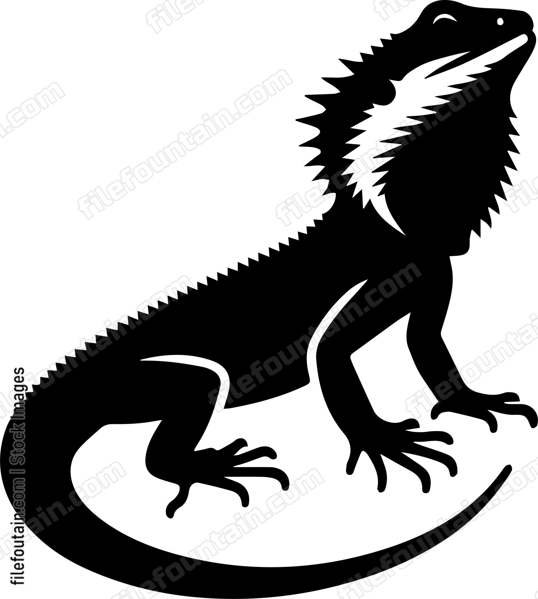 Frilled Neck Lizard