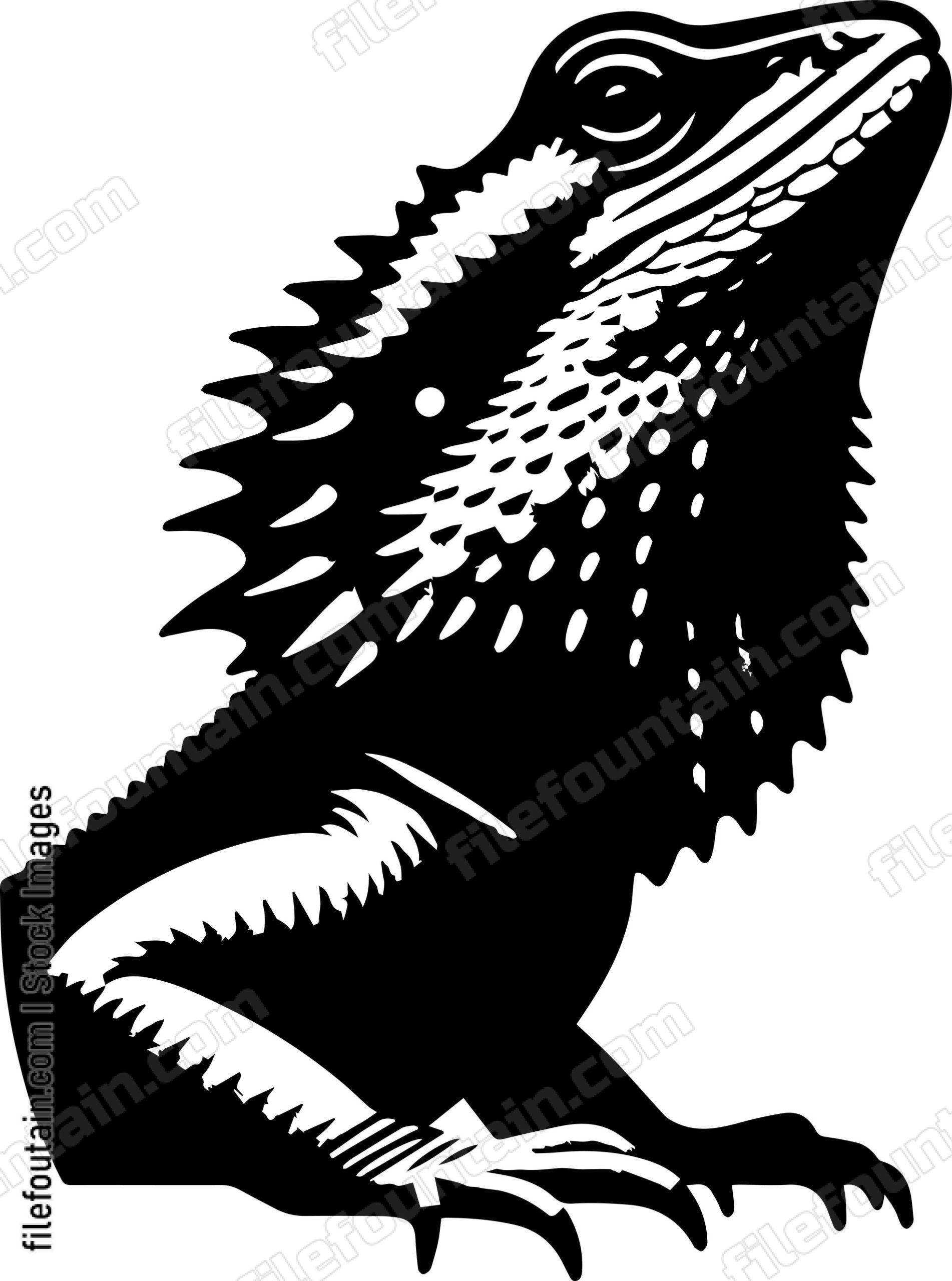 Frilled Neck Lizard