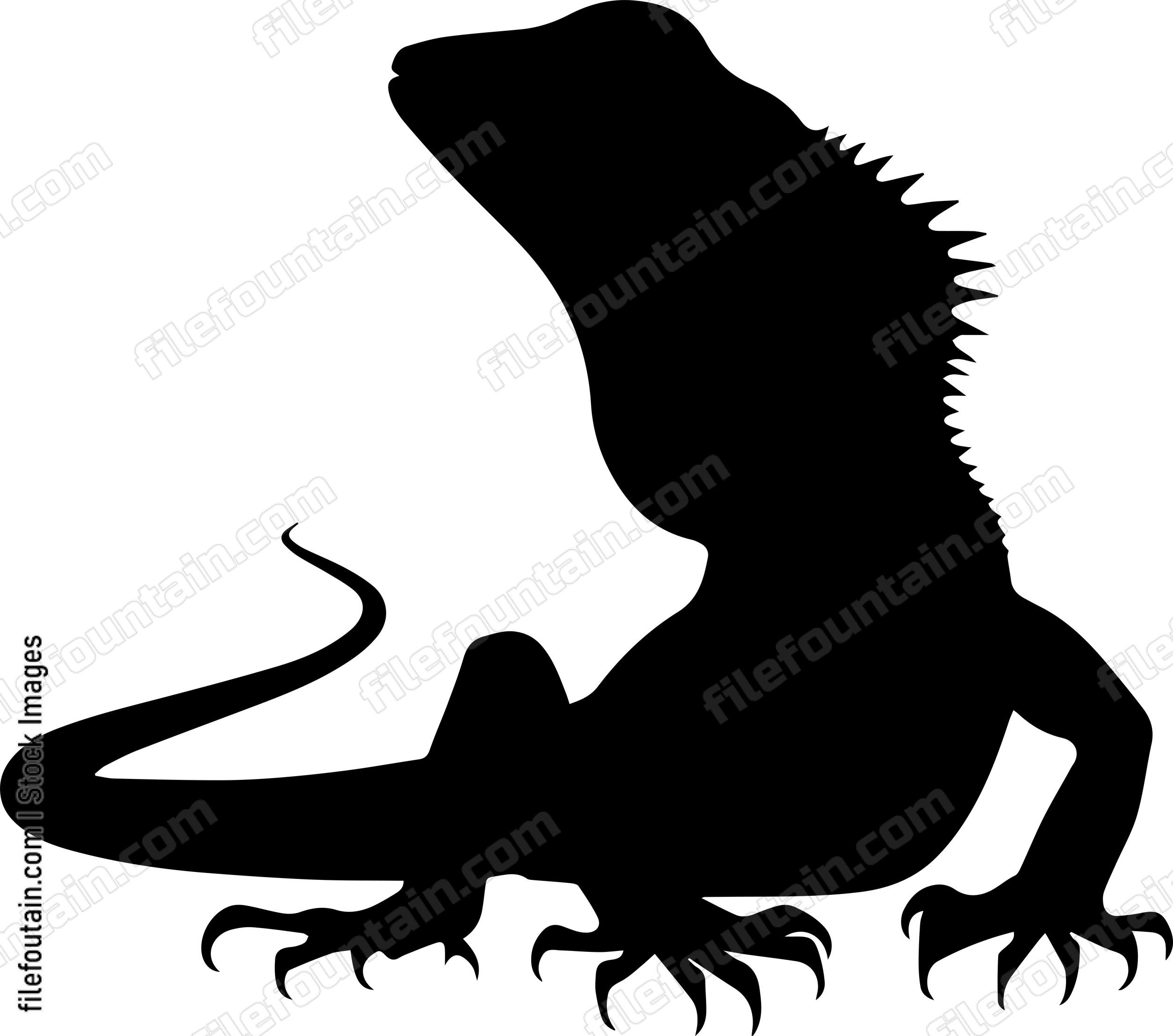 Frilled Neck Lizard