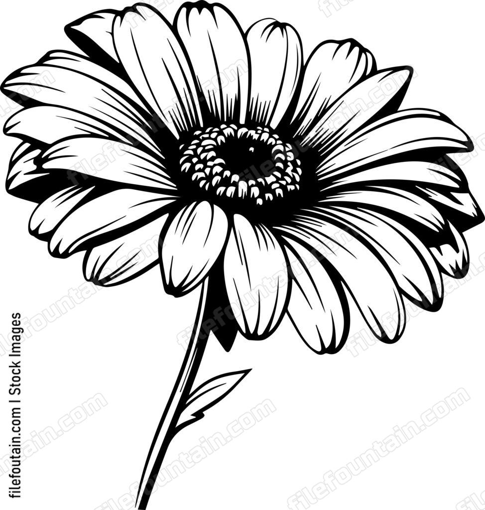 Gerbera Flower Logo Vector Design FileFountain