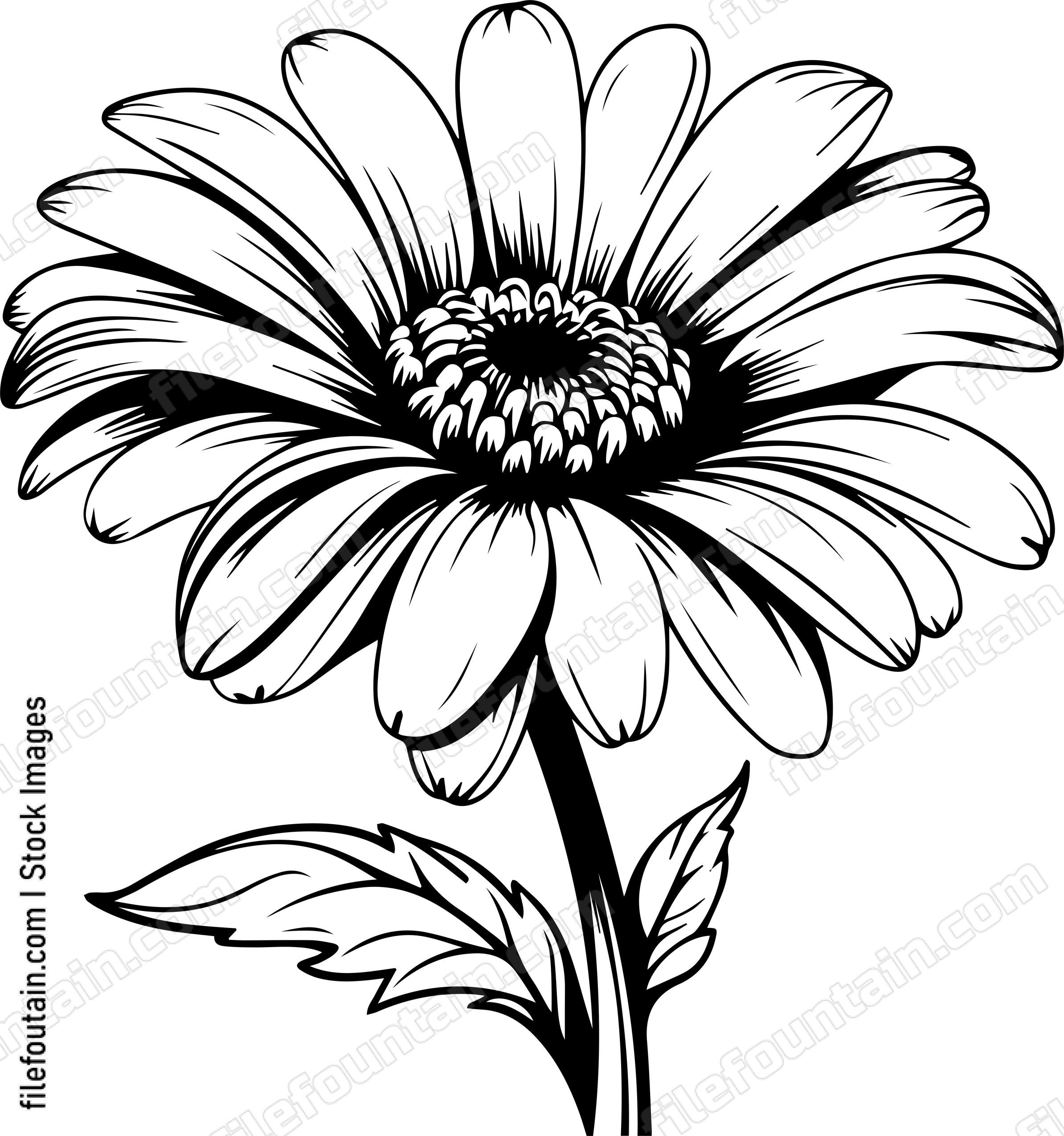 Gerbera Flower