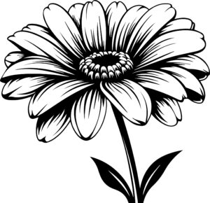 Gerbera Flower