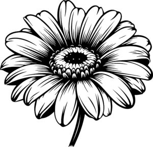 Gerbera Flower