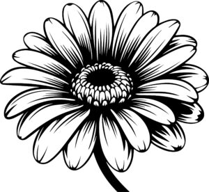 Gerbera Flower