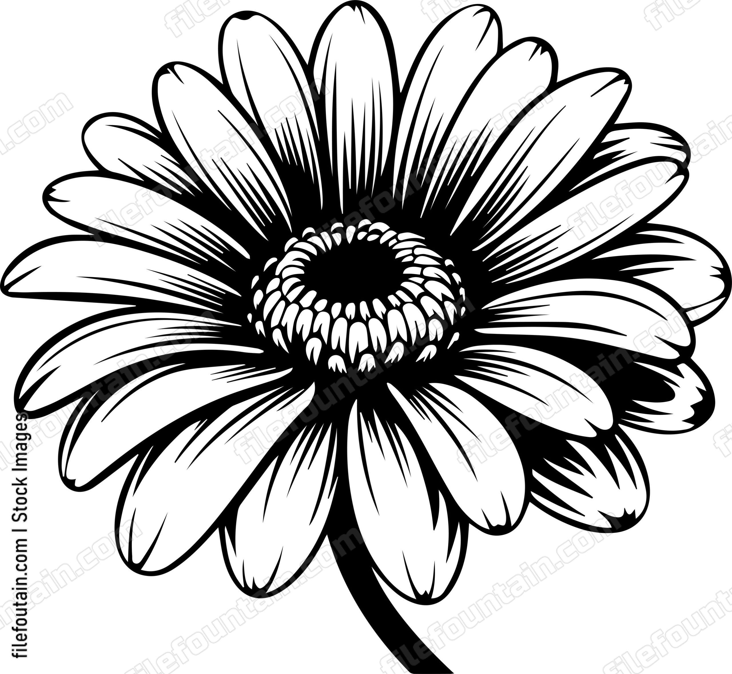 Gerbera Flower