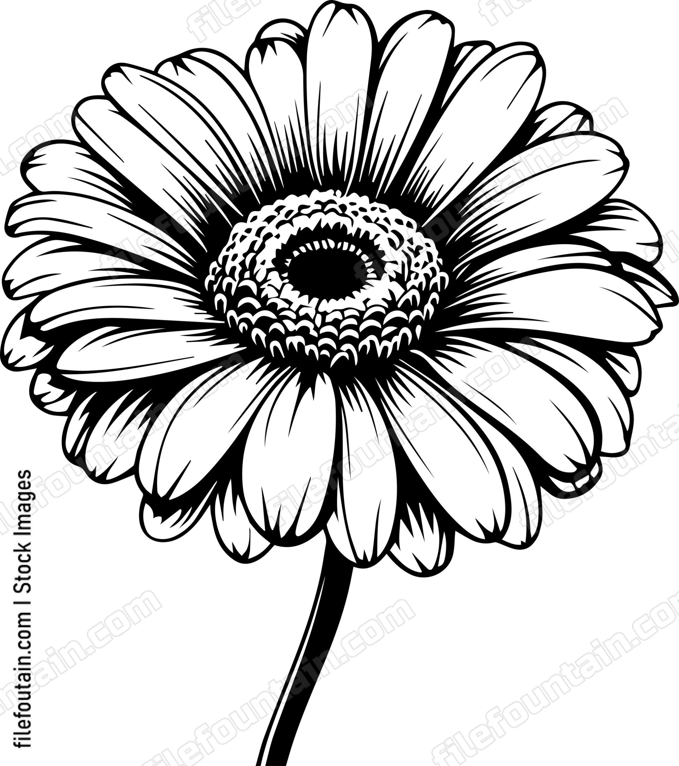 Gerbera Flower