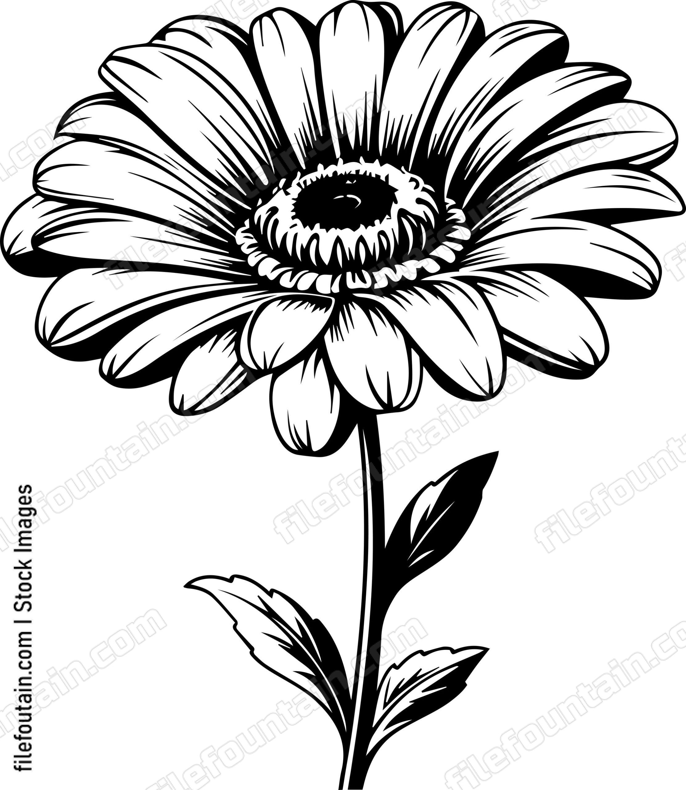 Gerbera Flower