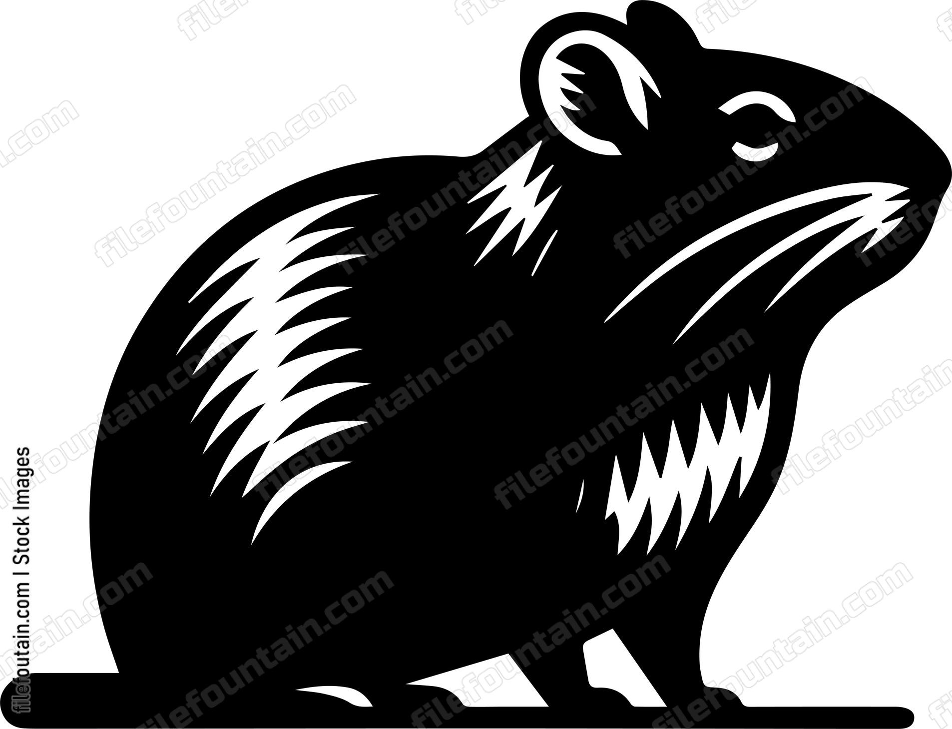 Gerbil