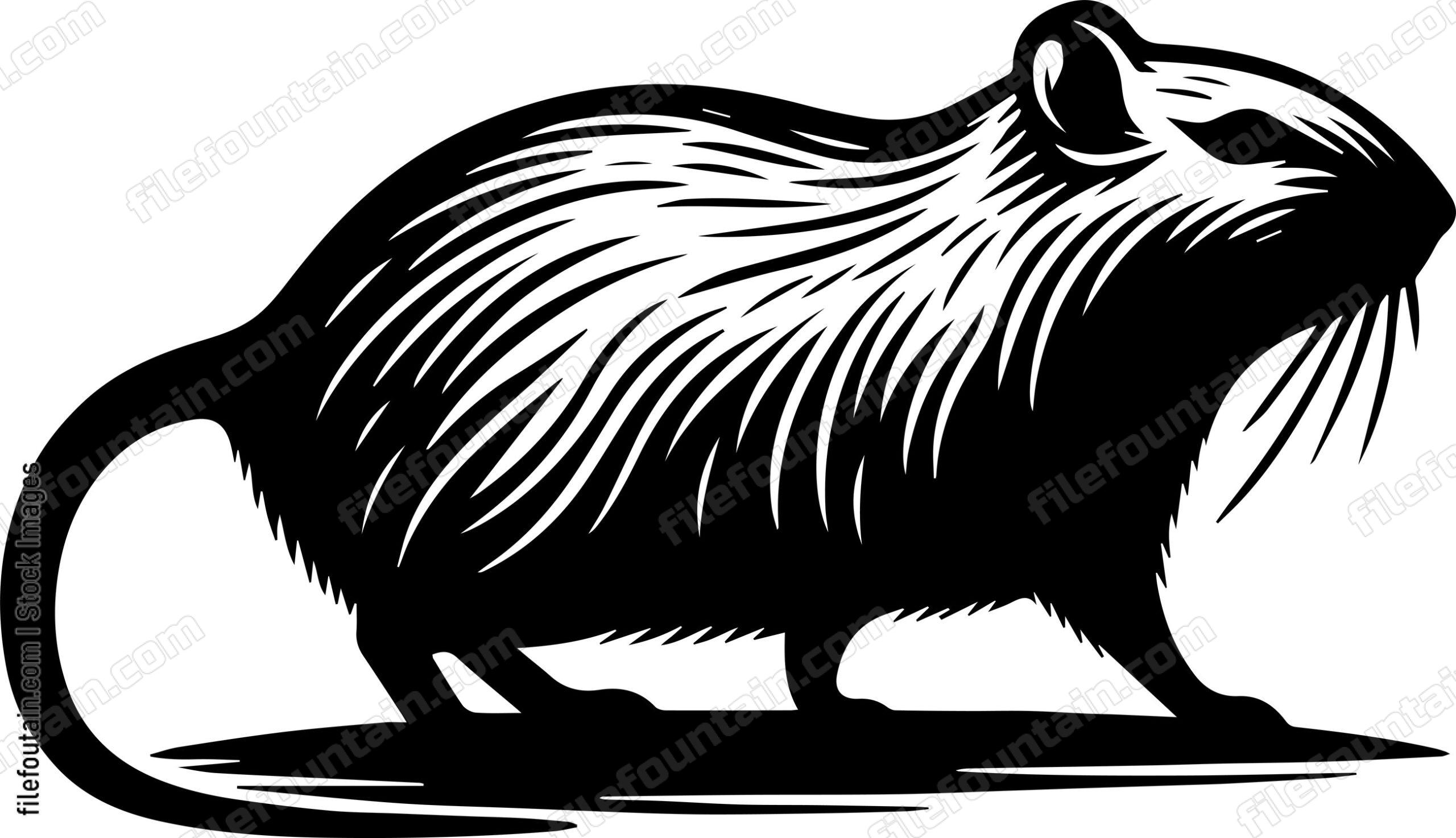 Gerbil