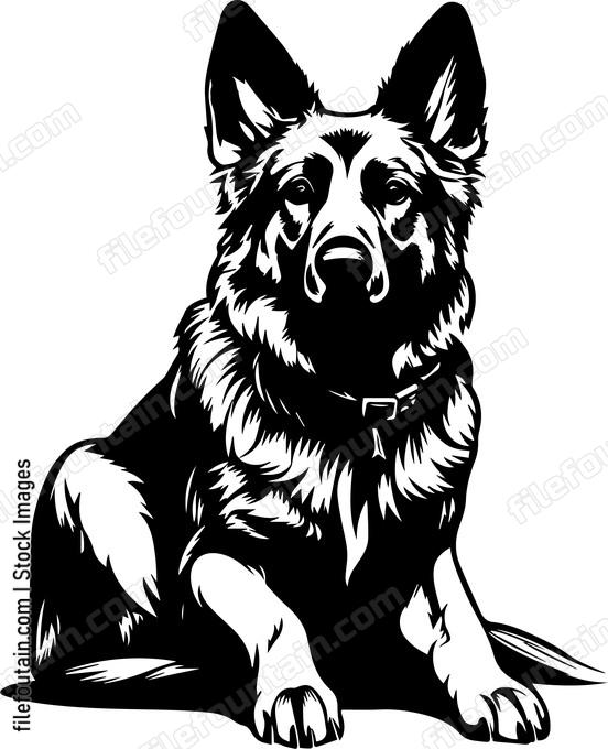 German Shepherd