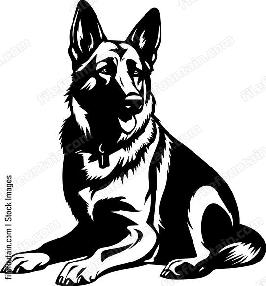 German Shepherd