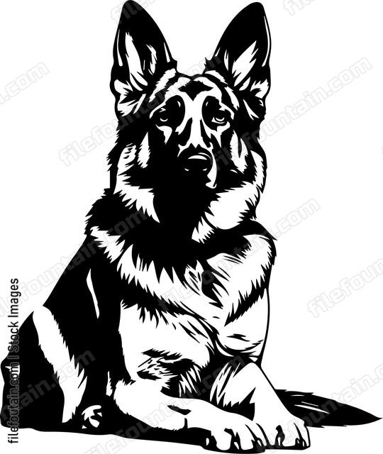 German Shepherd