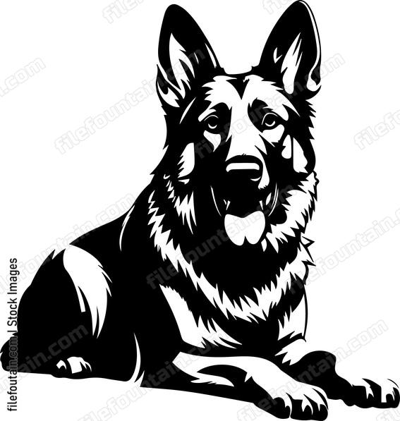 German Shepherd