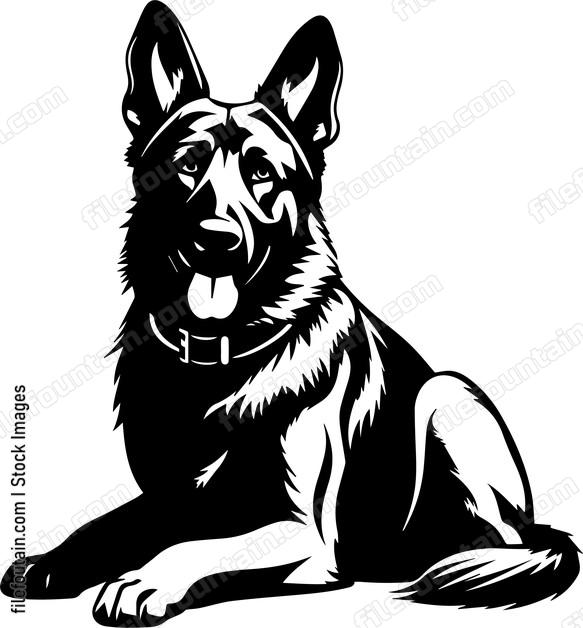 German Shepherd