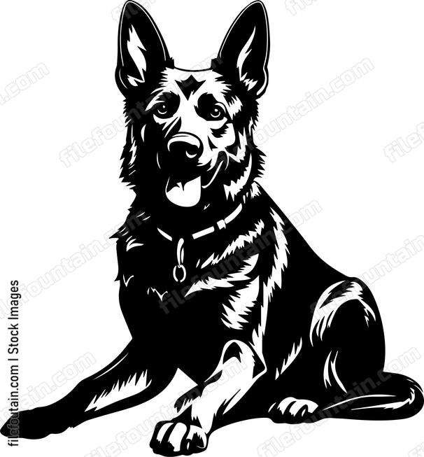 German Shepherd