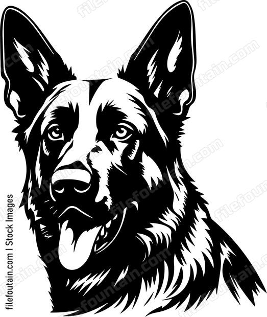 German Shepherd