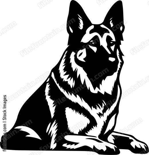 German Shepherd