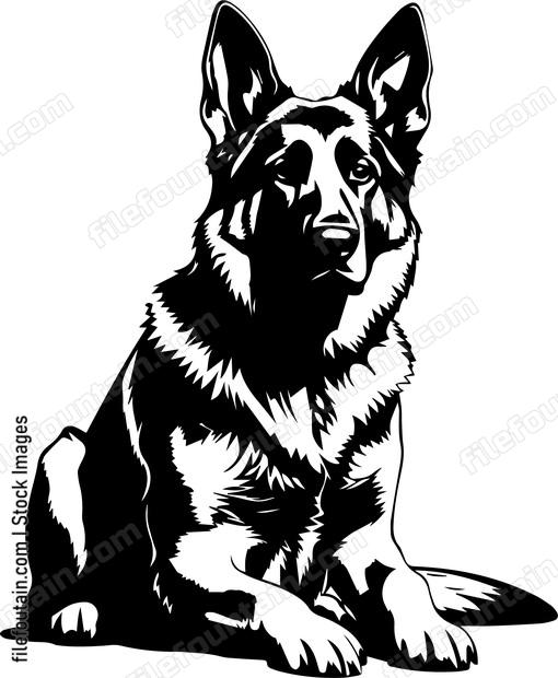 German Shepherd