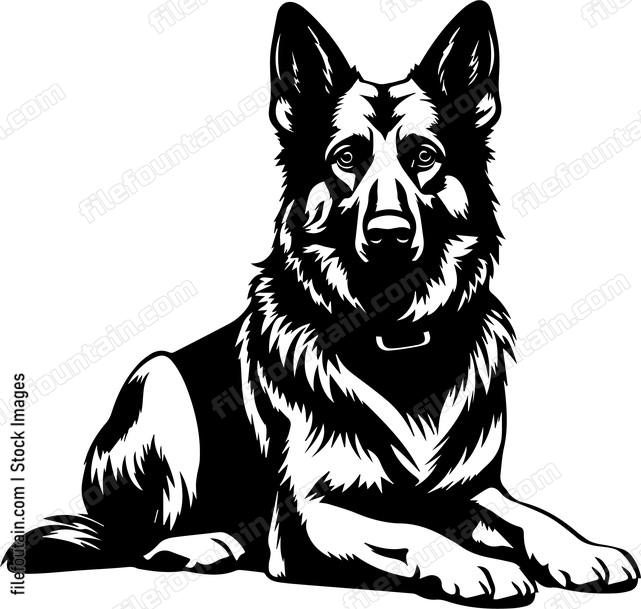 German Shepherd