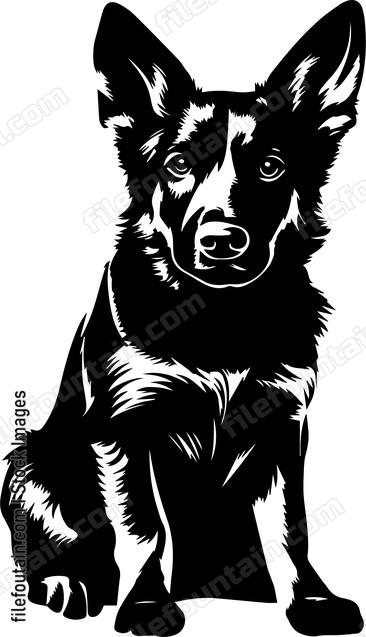 German Shepherd