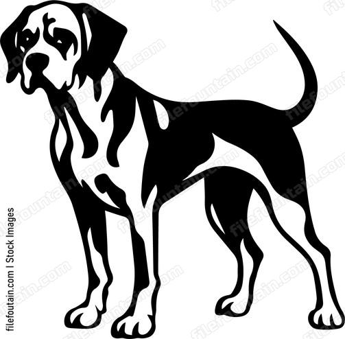 German Shorthaired aaddc a ec beed