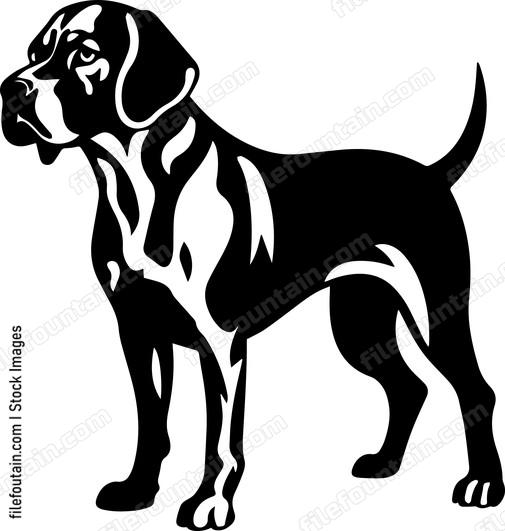German Shorthaired de