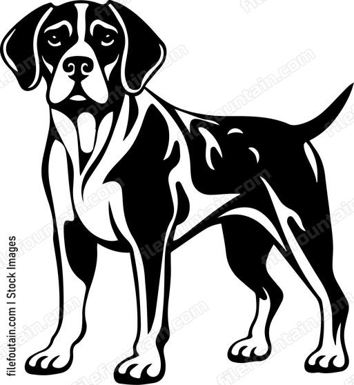 German Shorthaired de