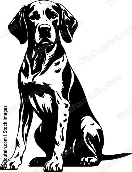 German Shorthaired Pointer