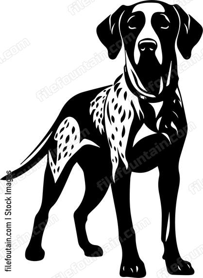 German Shorthaired Pointer