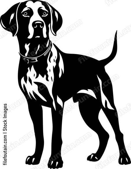 German Shorthaired Pointer