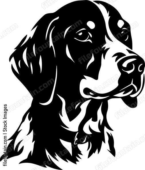 German Shorthaired Pointer
