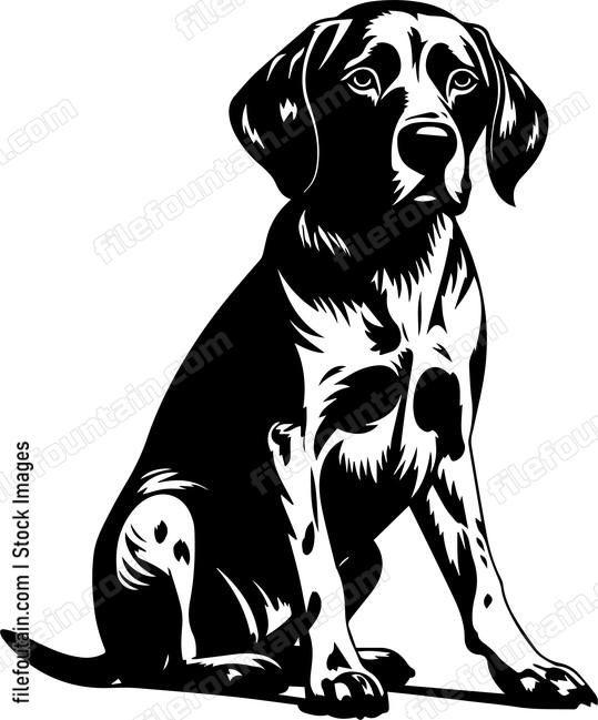 German Shorthaired Pointer