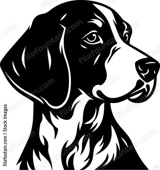 German Shorthaired Pointer