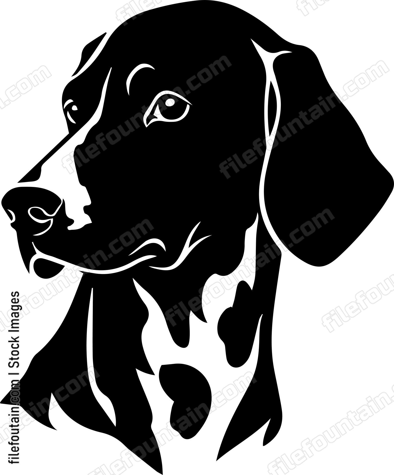 German Shorthaired Pointer