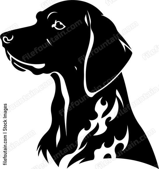 German Shorthaired Pointer