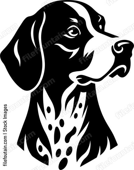 German Shorthaired Pointer