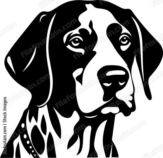 German Shorthaired Pointer