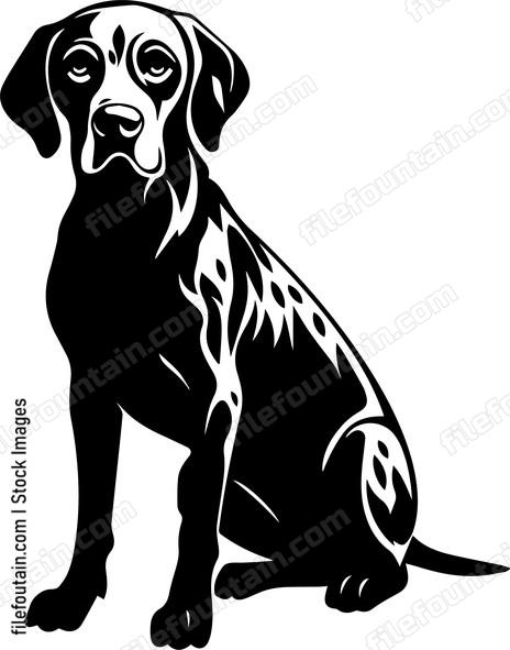 German Shorthaired Pointer